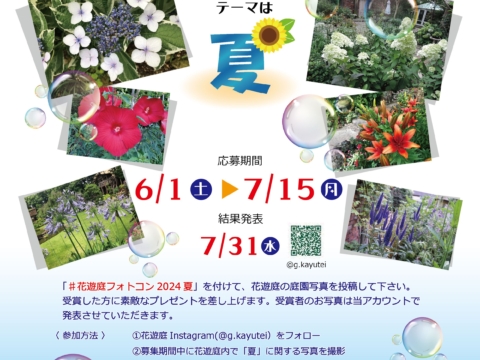 イベント