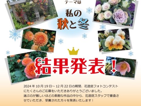 イベント