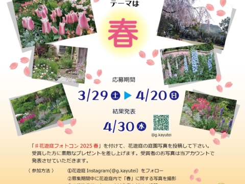 イベント