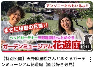 イベント
