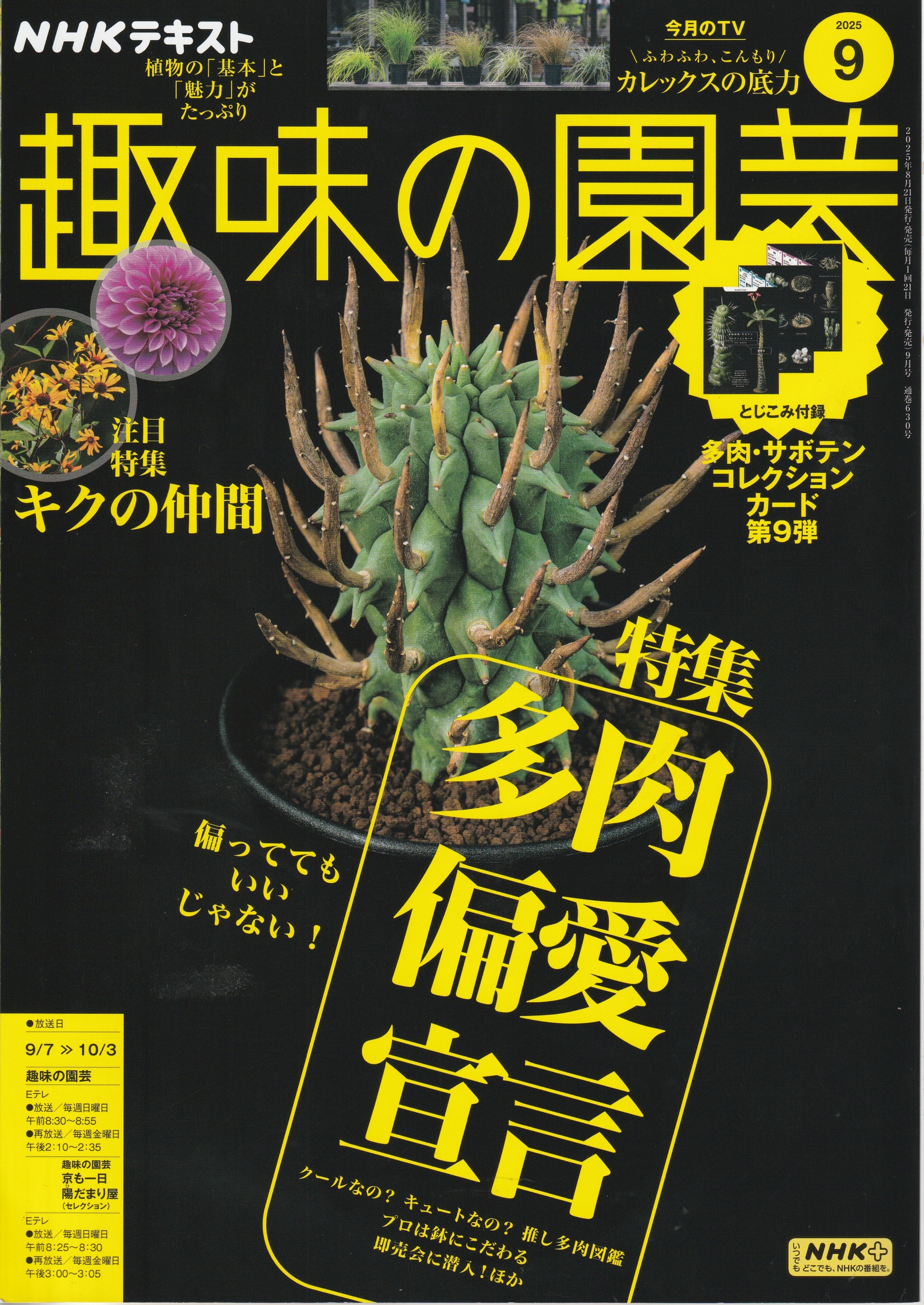 イベント