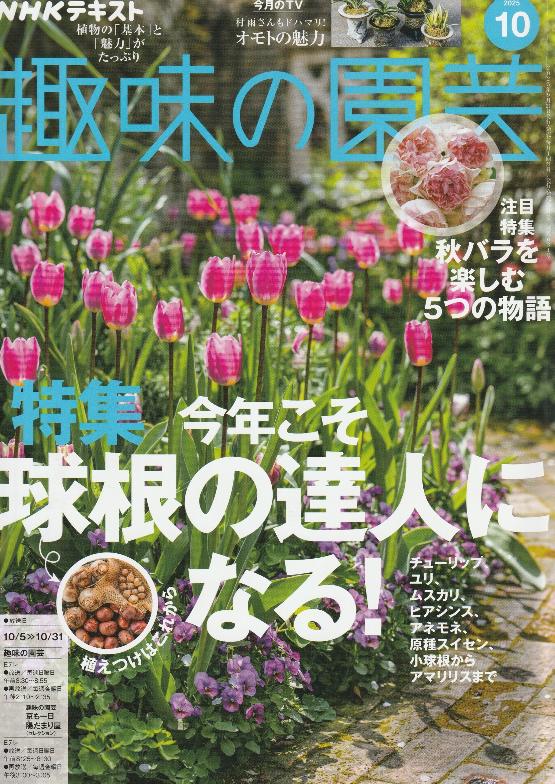 イベント