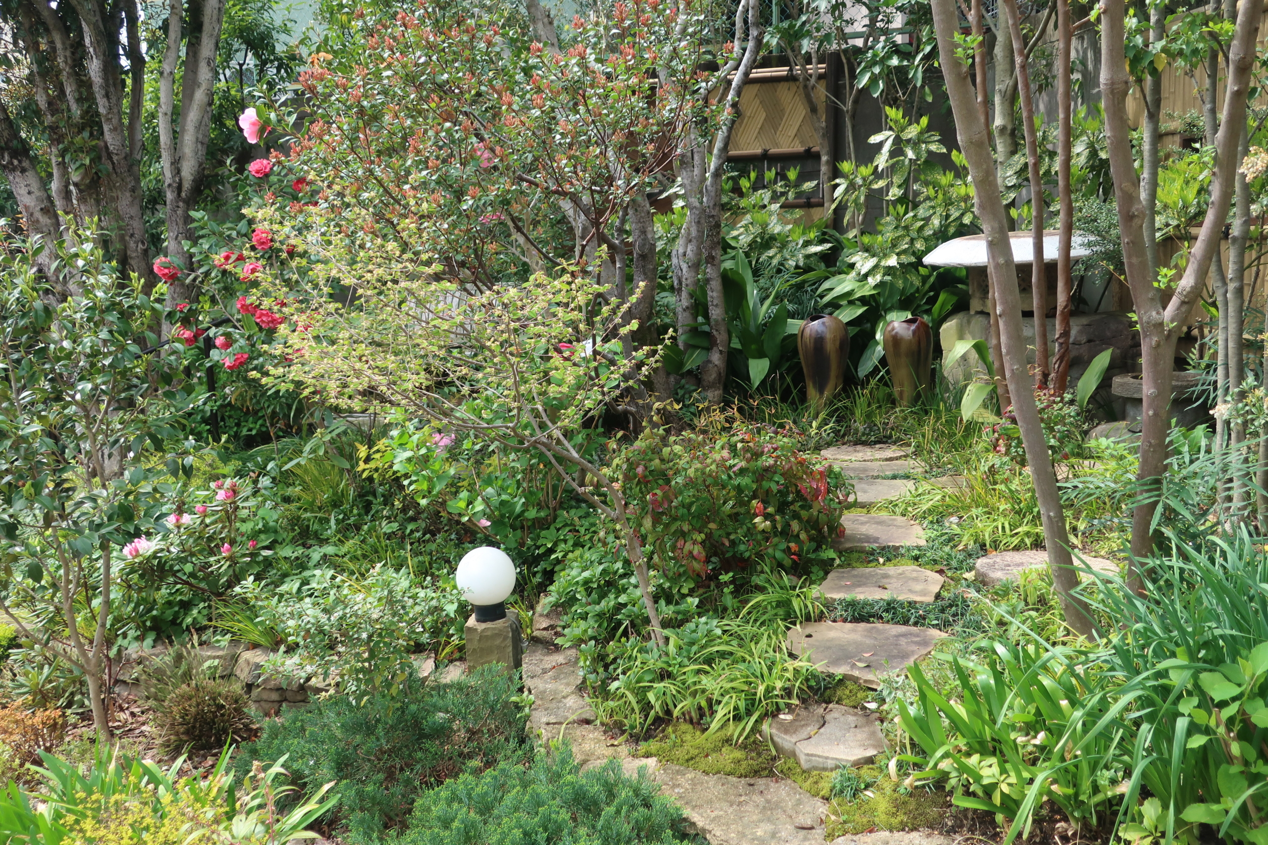 IMG_7289 イベント