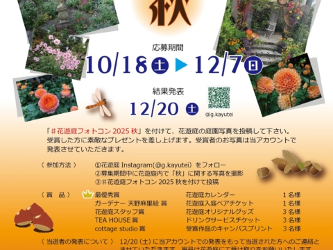 イベント