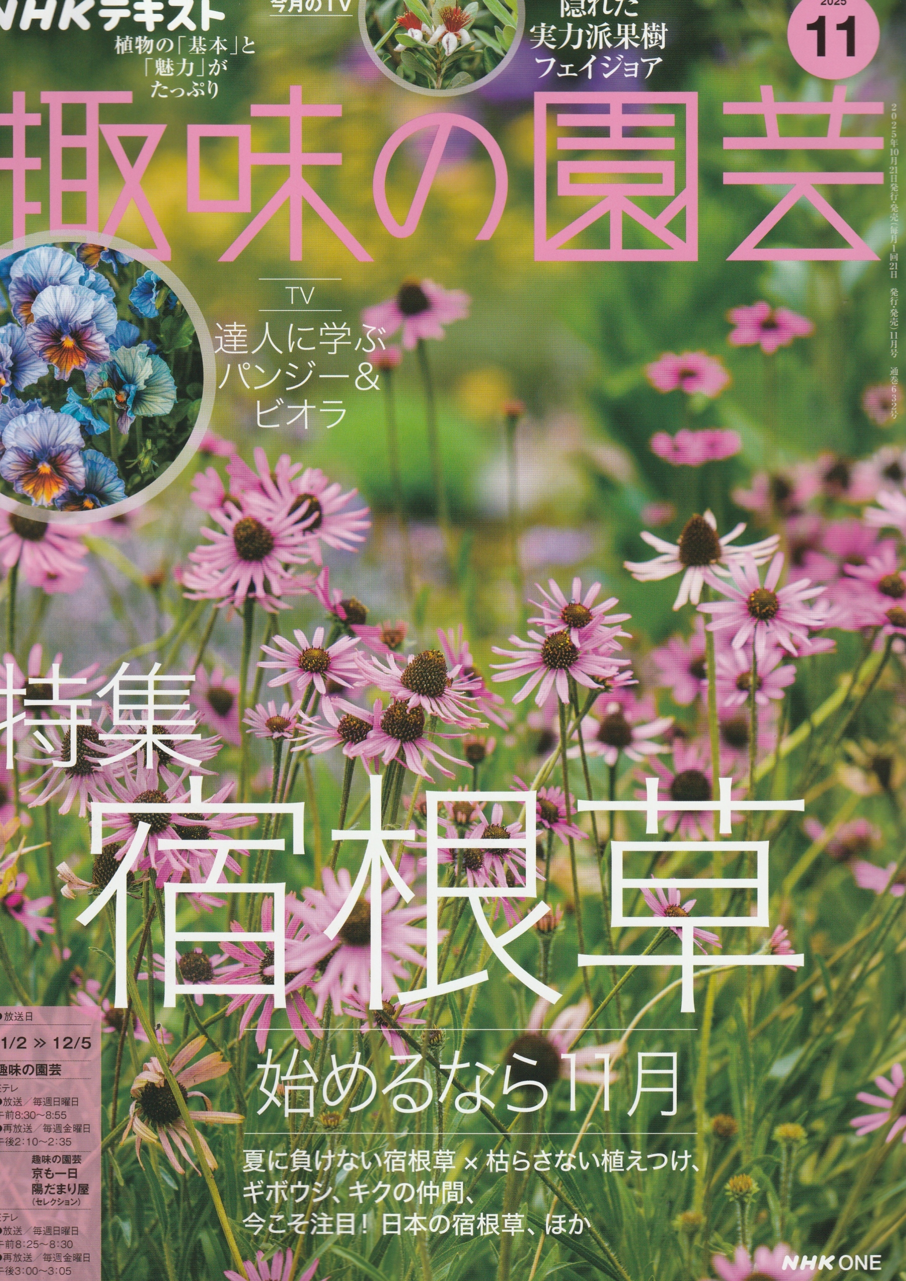 イベント